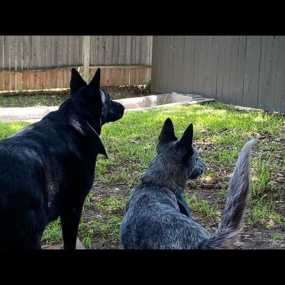 Meet your Posher, Jamie - Picture 3 of 4